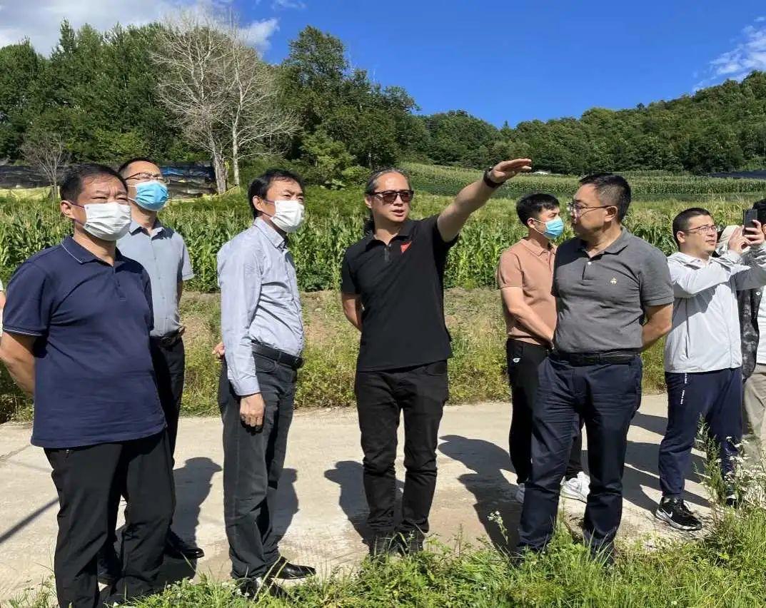 沐鸣2娱乐官方网站图片